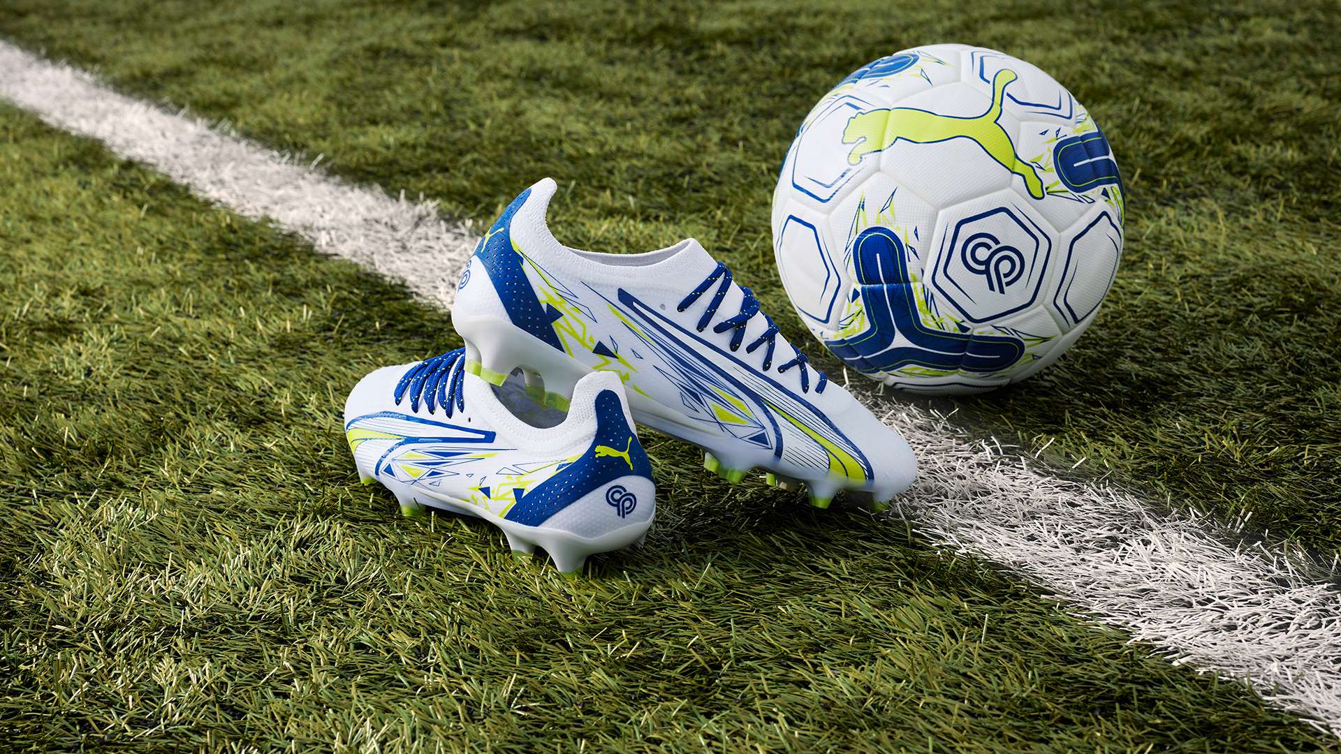 僅僅是為了 僅僅是為了