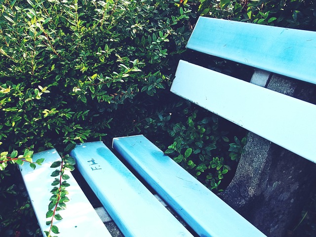 场表现出色 场表现出色