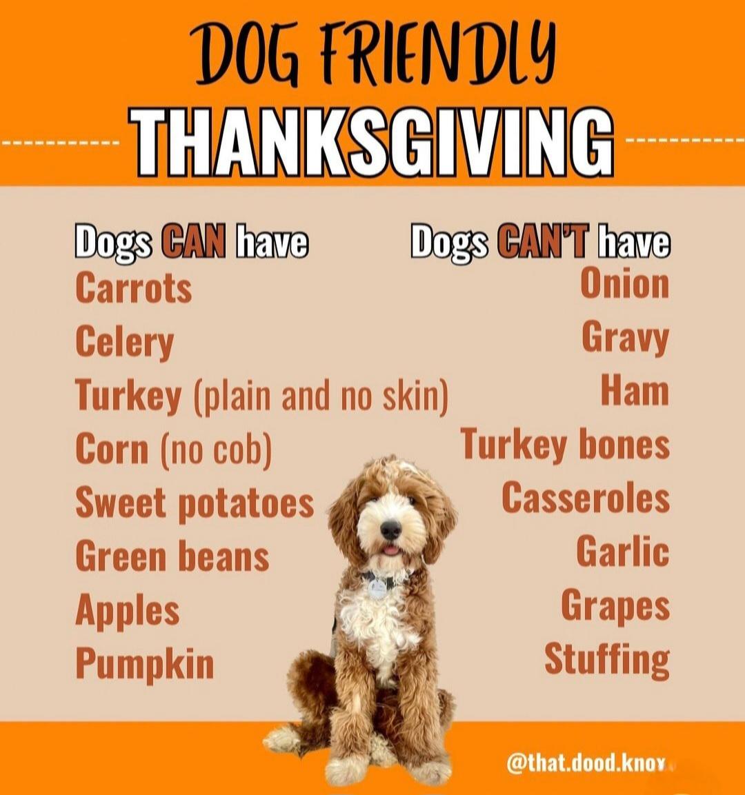 杜锋所强调 杜锋所强调