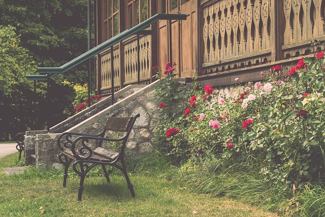 更是聖路易 更是聖路易