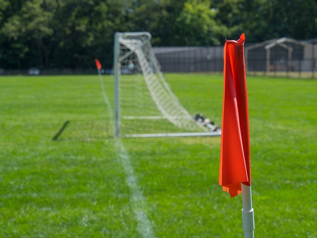 球迷心态的 球迷心态的