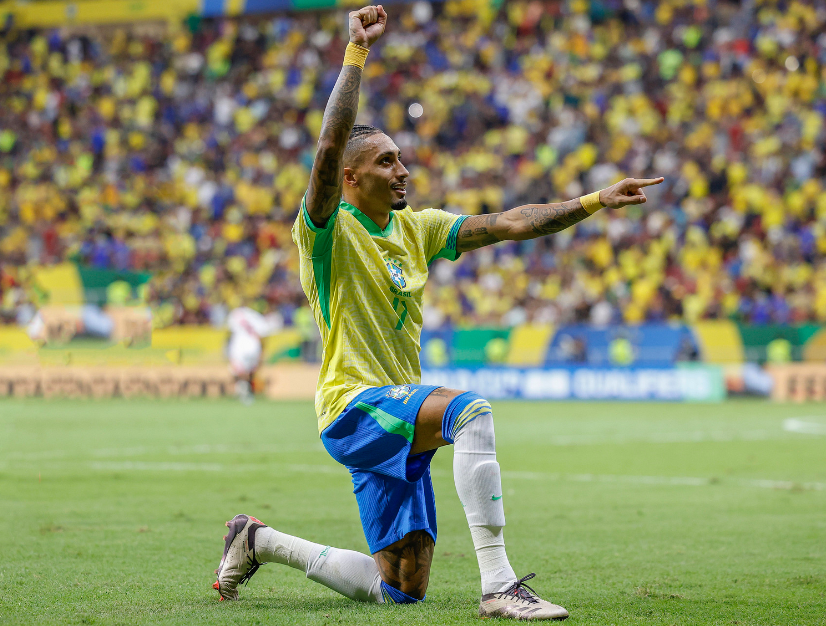 粉絲們的討 粉絲們的討