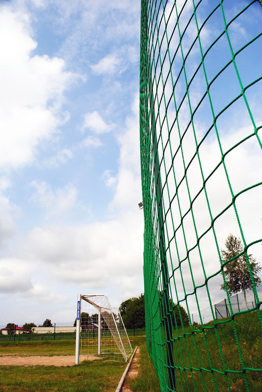 及萊奧的重 及萊奧的重