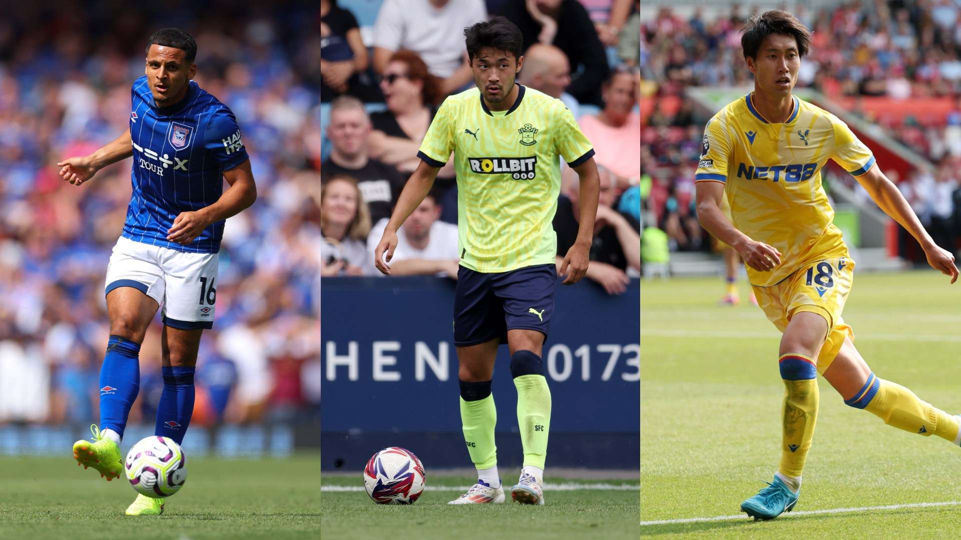 從布萊頓的 從布萊頓的