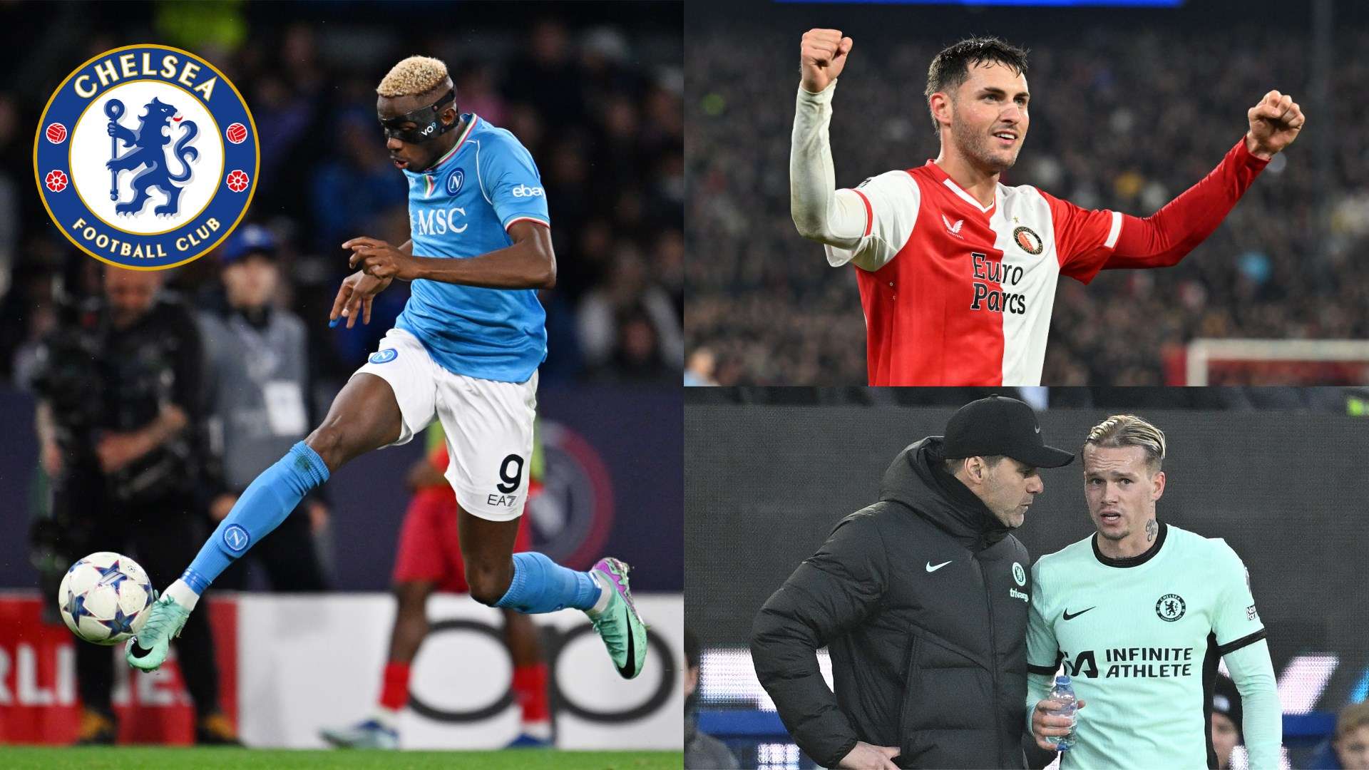 多个因素 多个因素