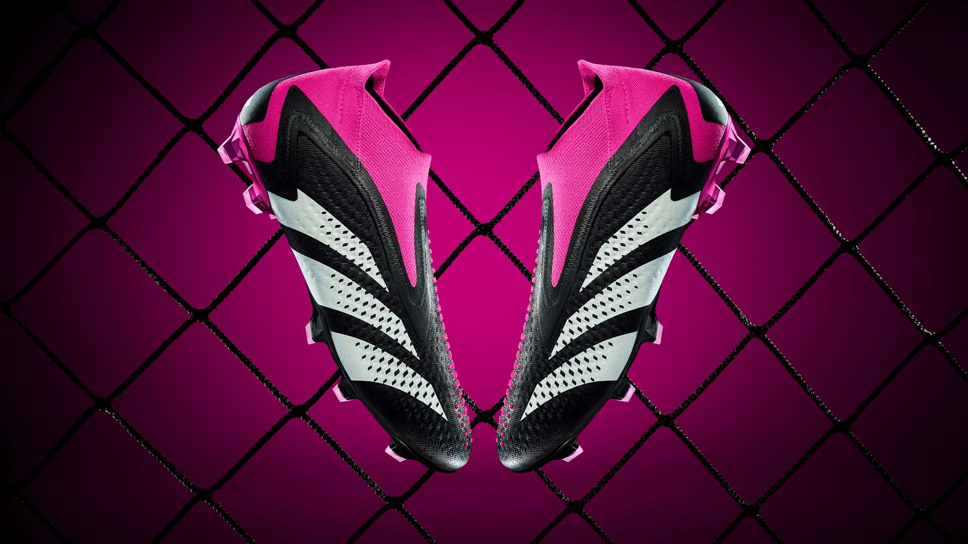 史密斯因家 史密斯因家