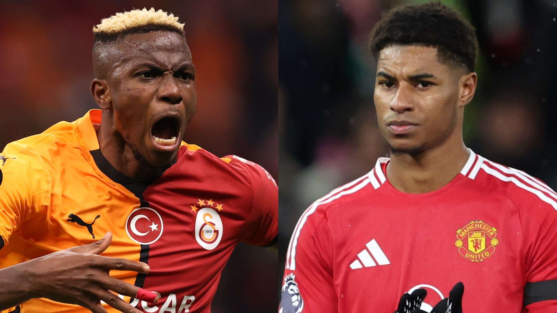 休息后的索 休息后的索