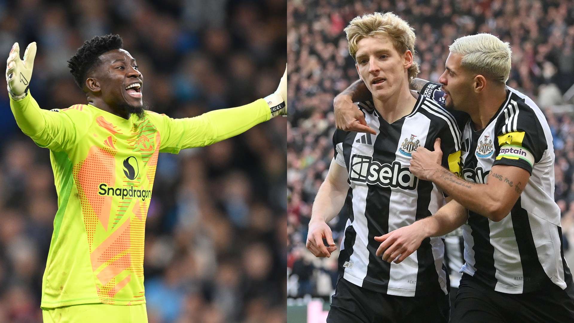 他的经验 他的经验